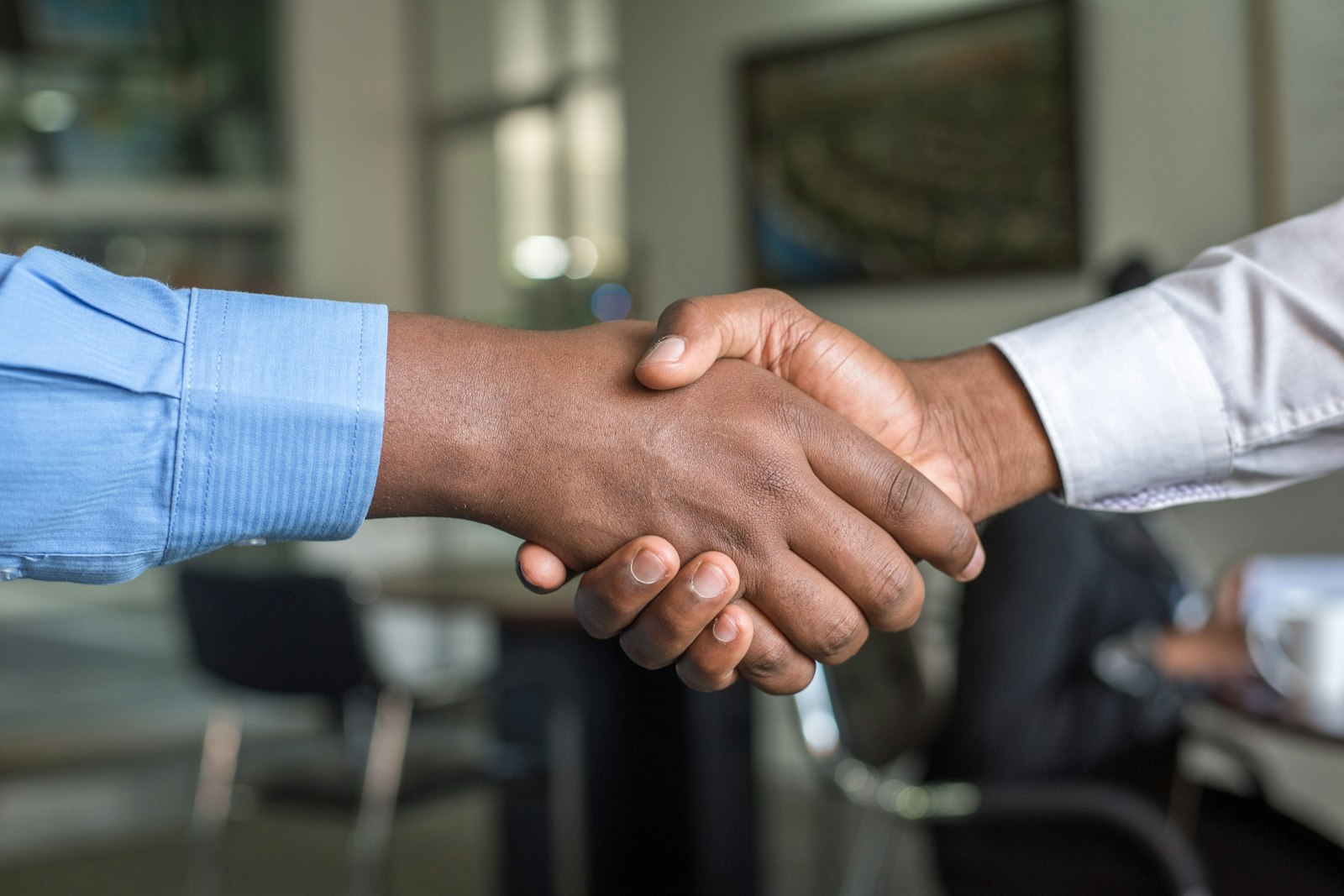 Physician and advisor shaking hands to buy a medical practice